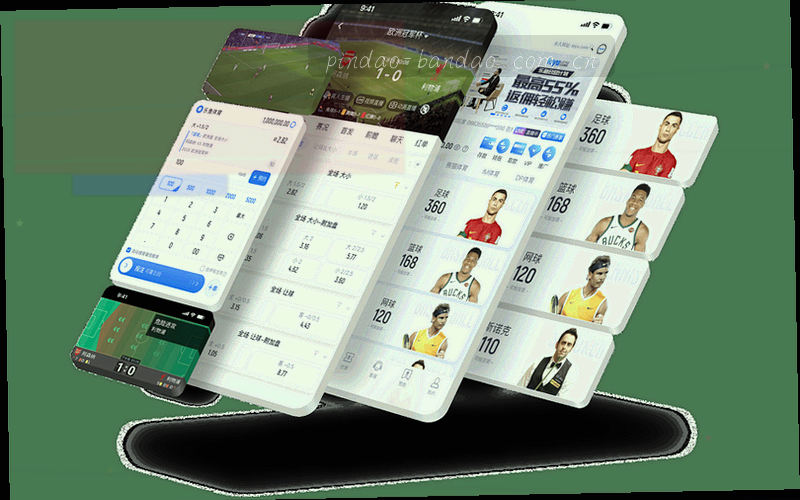 电脑上打开半岛网站，显示收藏和历史记录同步成功